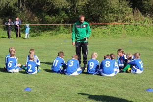 华体会app介绍-国家队战术决策效率如何提升，国家队战术决策效率如何提升的